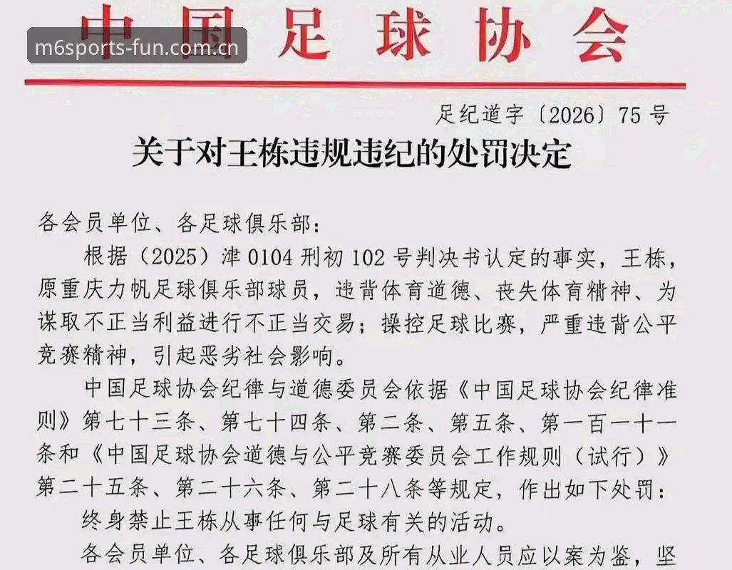 米乐m6怎么下载安卓版 资深用户分析:足协第三批禁足名单公布,65人受罚背后的行业反思